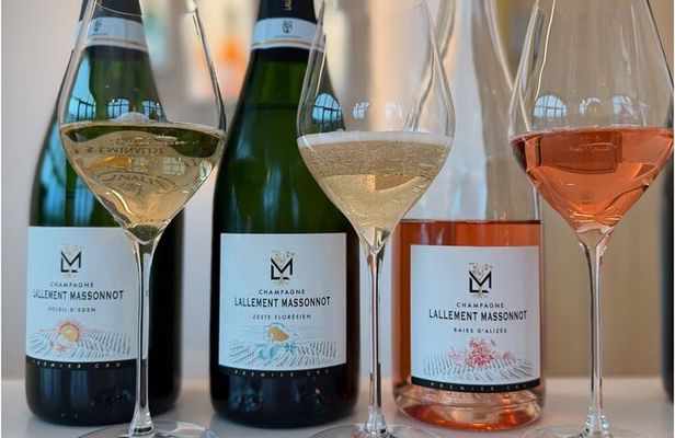 Vineyard and Triple Tasting First Cru in the Mountains of Reims 