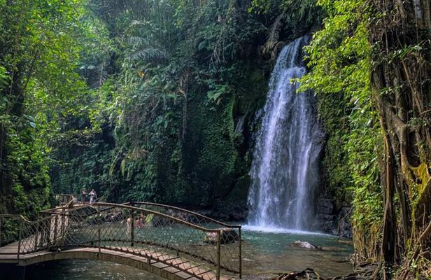 Ubud Private Chasing Waterfall and Water Temple Tour