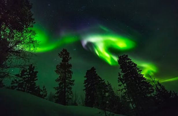 Levi Northern Lights Experience