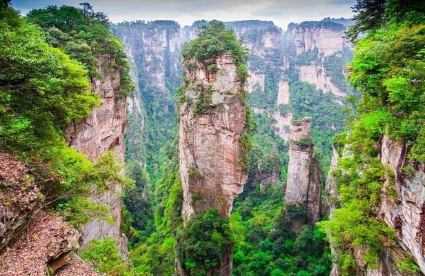 1 Day Avatar Mountain & Fores Park Group Tour with VIP Access