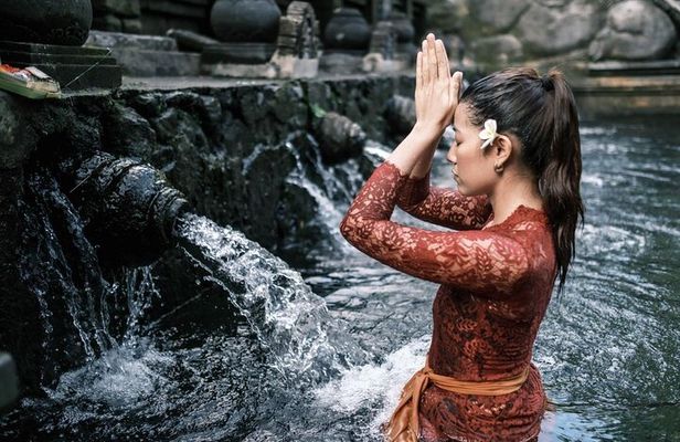 Ubud Highlights Rice Terraces, Temple, Waterfall & Monkeys forest