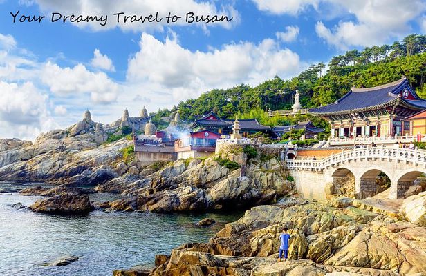 Busan Highlights for Cruise:Temple,Sea&Local Market(Relaxed Pace)