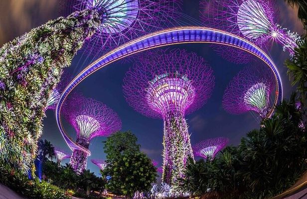 Spectra & Garden Rhapsody night Shows and Singapore River Cruise