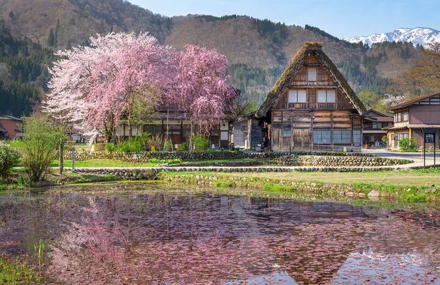 Gujo, Hida Takayama, and Shirakawa-go Day Tour from Nagoya