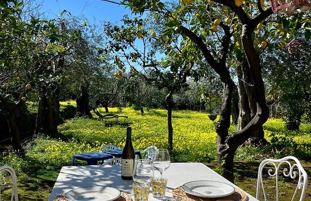 Sorrento: Cooking with a Local Chef & Wine Pairing by the Sea