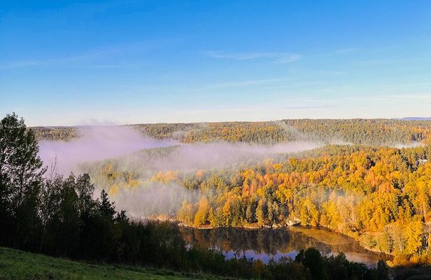 Oslo: Scenic Forest Hike with Dog & Local Guide