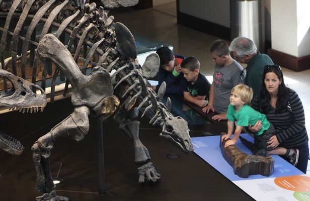 Museum Row Tour : Space, Dinosaurs & Sports at Exposition Park