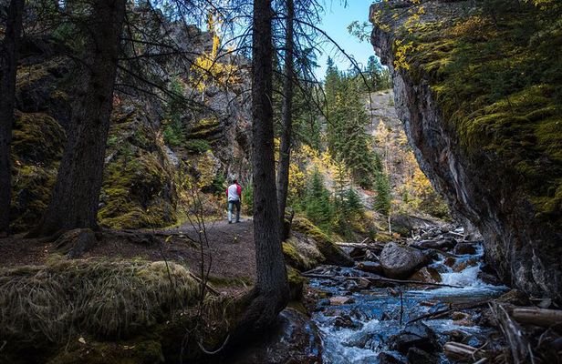 Banff Thermal Water and Hidden Waterfalls Walking Tour