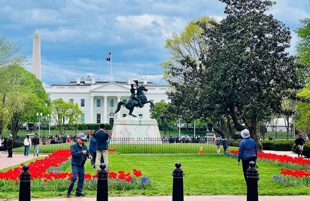 VIP Private Tour of Washington DC