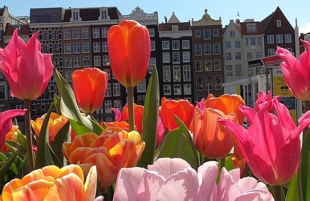 Amsterdam Highlights and Hidden Gems Walking Tour with Fun Guide