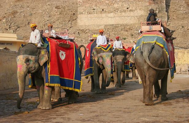 Jaipur Pink City Private Day Trip from Delhi