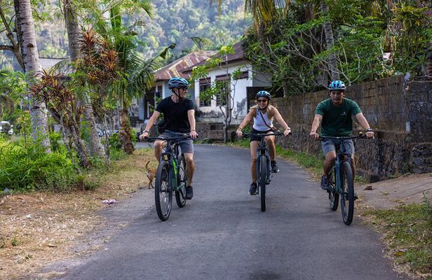Bali Bike Tour Ubud Area