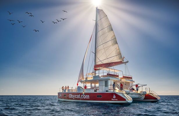 Catamaran Obycat Gran Canaria Tour