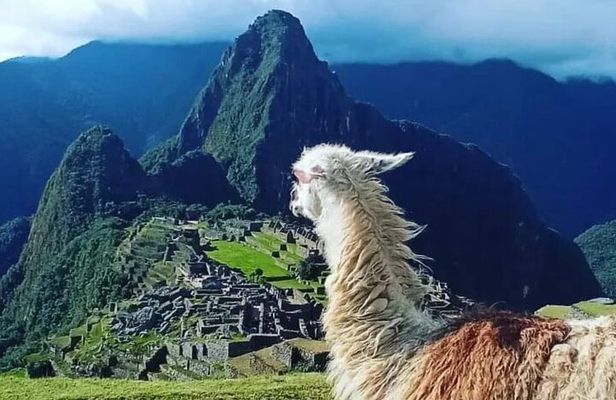 Sacred Valley and Machu Picchu 2 days