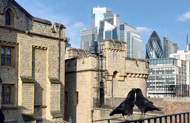 Tower of London and Tower Bridge Private Tour