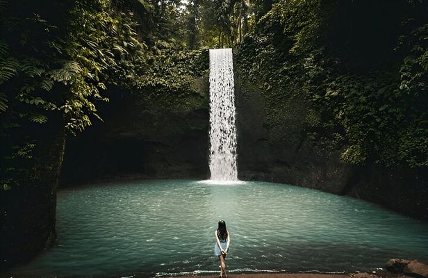 Private Ubud Instagrammable Tour - All Inclusive