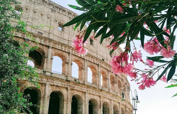 Rome On Your Own Full-Day Tour From Civitavecchia