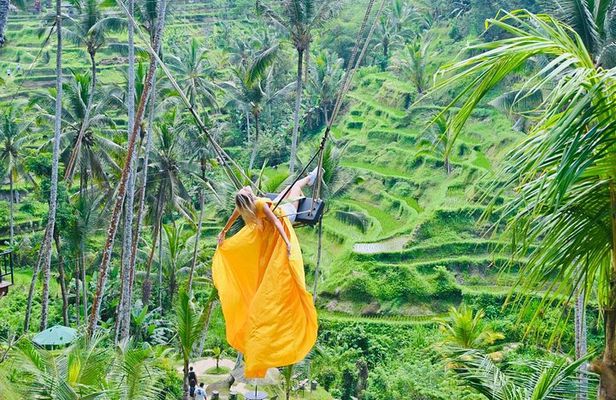 Ubud Private Tour: Waterfalls, Water Temple & Rice Terraces Swing