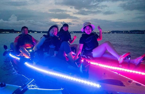 Glow Kayak Night Adventure in the Mangroves