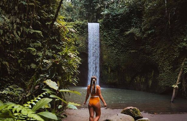 Ubud Waterfalls Water Temple and Rice Terraces Private Tour
