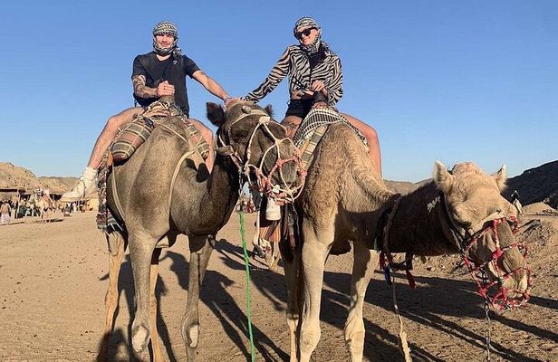 Full Day Super Safari ATV Quad, Camel Ride, Dinner and Show