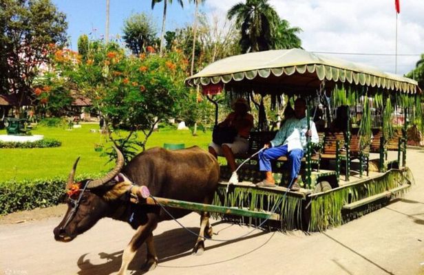 Villa Escudero: Cultural Show & Waterfall Buffet Experience