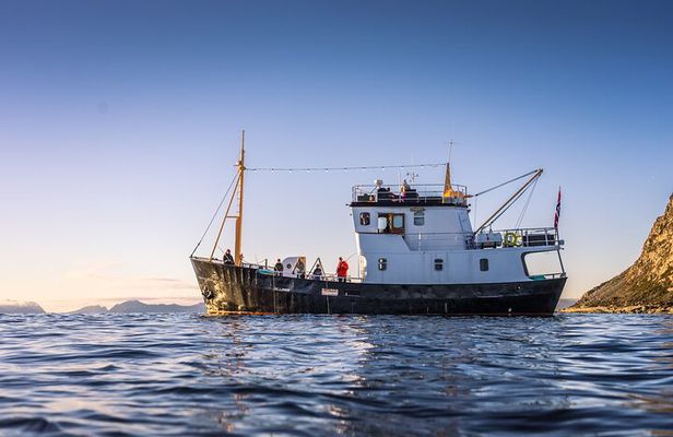 Fishing Trip in Alesund