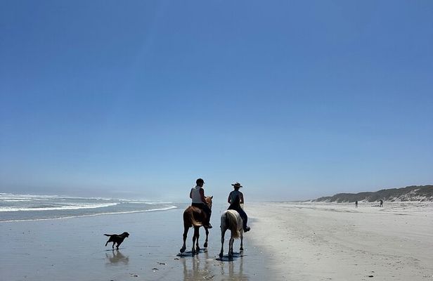 Beach Horse Ride in Yzerfontein, Western Cape