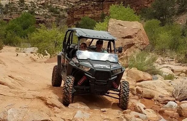Half Day 4x4 UTV Tour of Bears Ears
