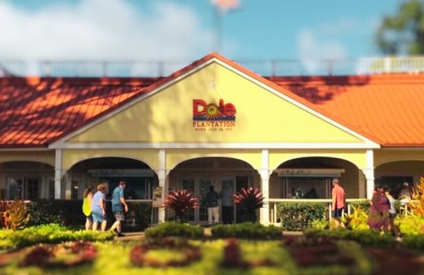 North Shore Foodie Fun: Eat, Explore, Enjoy (Incl. Dole)