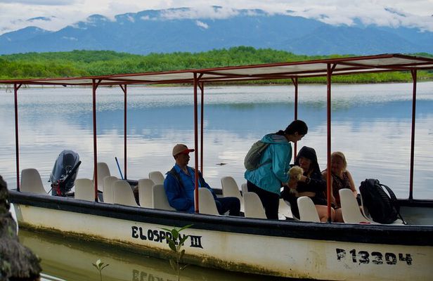 Damas Island Quepos Authentic Local Mangrove Boat Tour