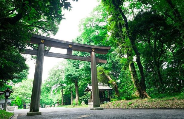 Tokyo Top 5 Sights in 6hr Licensed Guide Private Walking Tour
