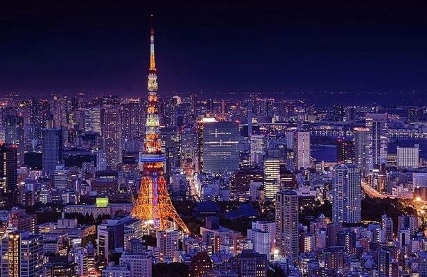 Tokyo City and Ashikaga Flowers Park or Kawagoe Private Day Tour