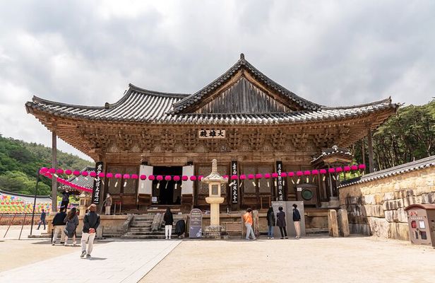 Private Busan Tailor made Tour with Tongdosa Buddhist Temple