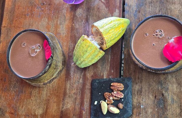 Private Chocolate and Pisco Sour Lesson