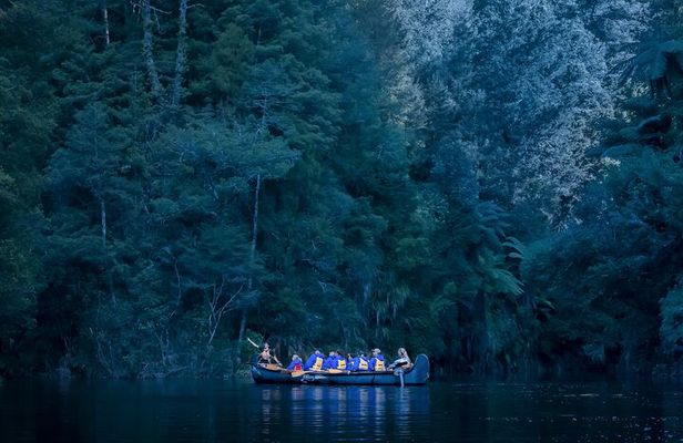 Tauranga Evening Big Kanu Glowworm Tour