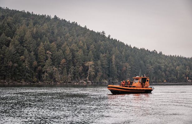 Private Whale Watching Nanaimo with Open Boat