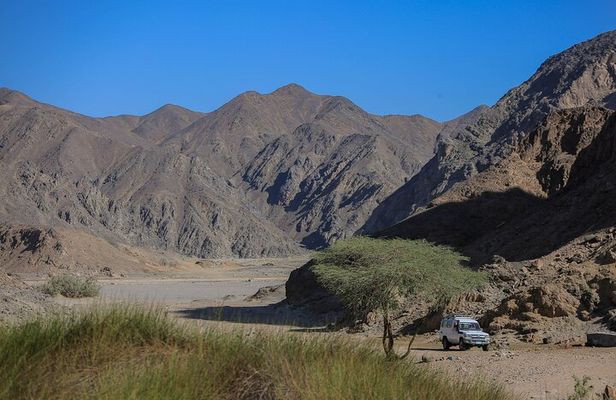 Guided Desert Hiking Tour in Wadi Naeba – Remote Half-Day Trek