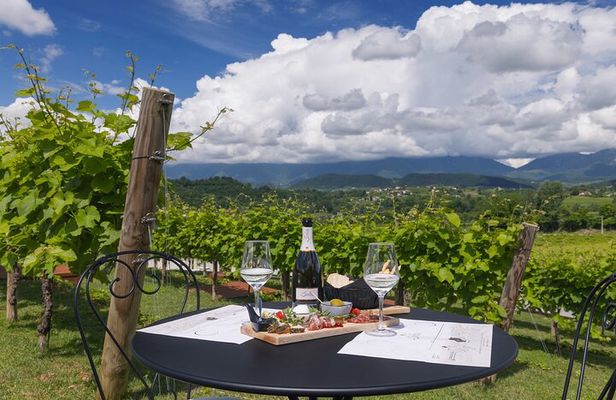 Tour and tasting in the hills of Prosecco Superiore DOCG