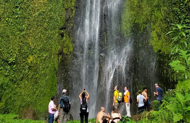  One Day Tour on Ometepe : Waterfall - Kayaking - Sunset