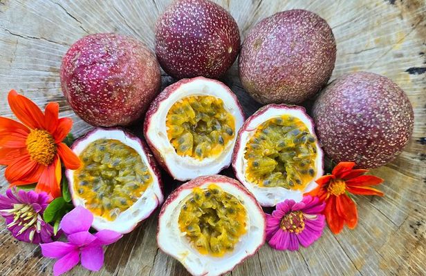 Tasting Tour of Tropical and Exotic Fruits in Panama’s Markets