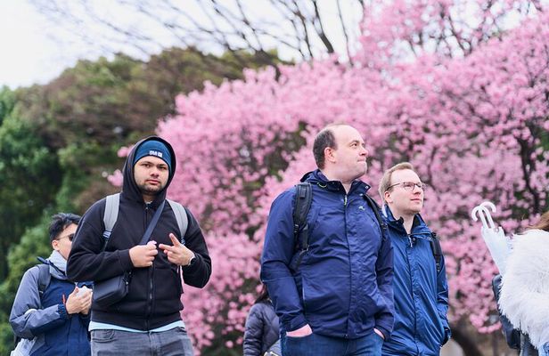 Tokyo Castle & Imperial Palace , Historical Walking Tour