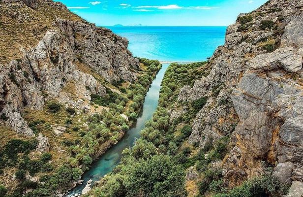 Preveli Beach and Plakias Full Day Trip From Panormo and Lavris