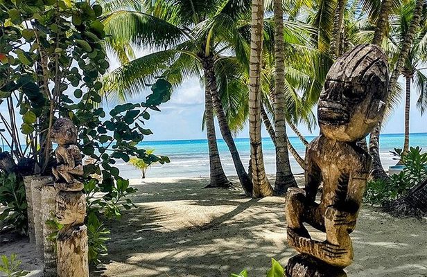 Saona Island Tour from Santo Domingo