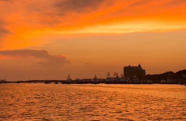 Private Sunset Dolphin Cruise Up to 16 Passengers