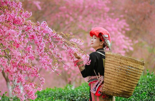 2-Day from Sapa: Majestic Valleys-True Homestay - Fansipan - Bike