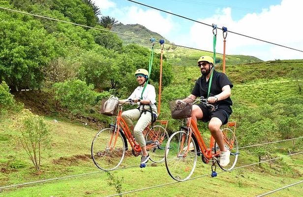 Valles Des Couleur Nature Park and Gris Gris Beach Private Tour