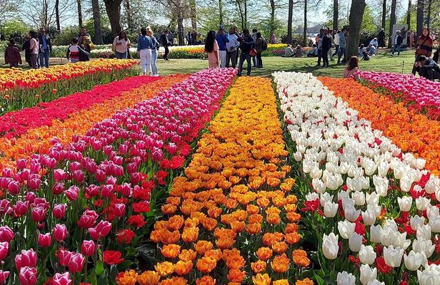 Amsterdam: Private 3-Hour Hop-On Hop-Off Tour