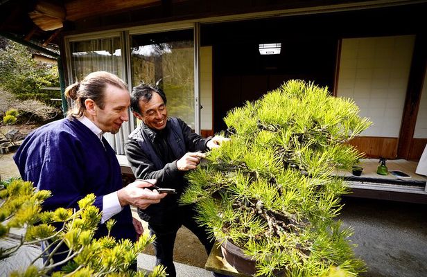 Hiroshima：Bonsai trimming tour (with photo data)