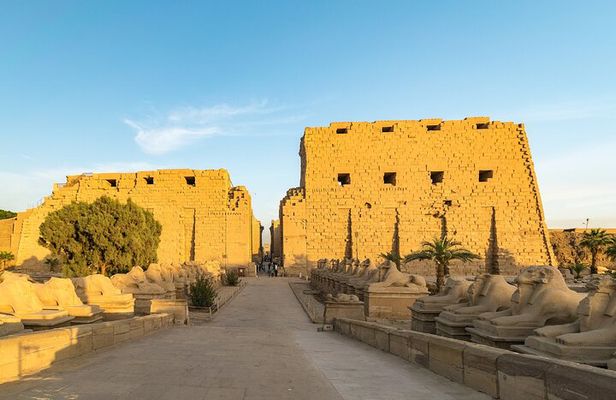 (Private) Half Day Tour Luxor Temple and Karnak Temples